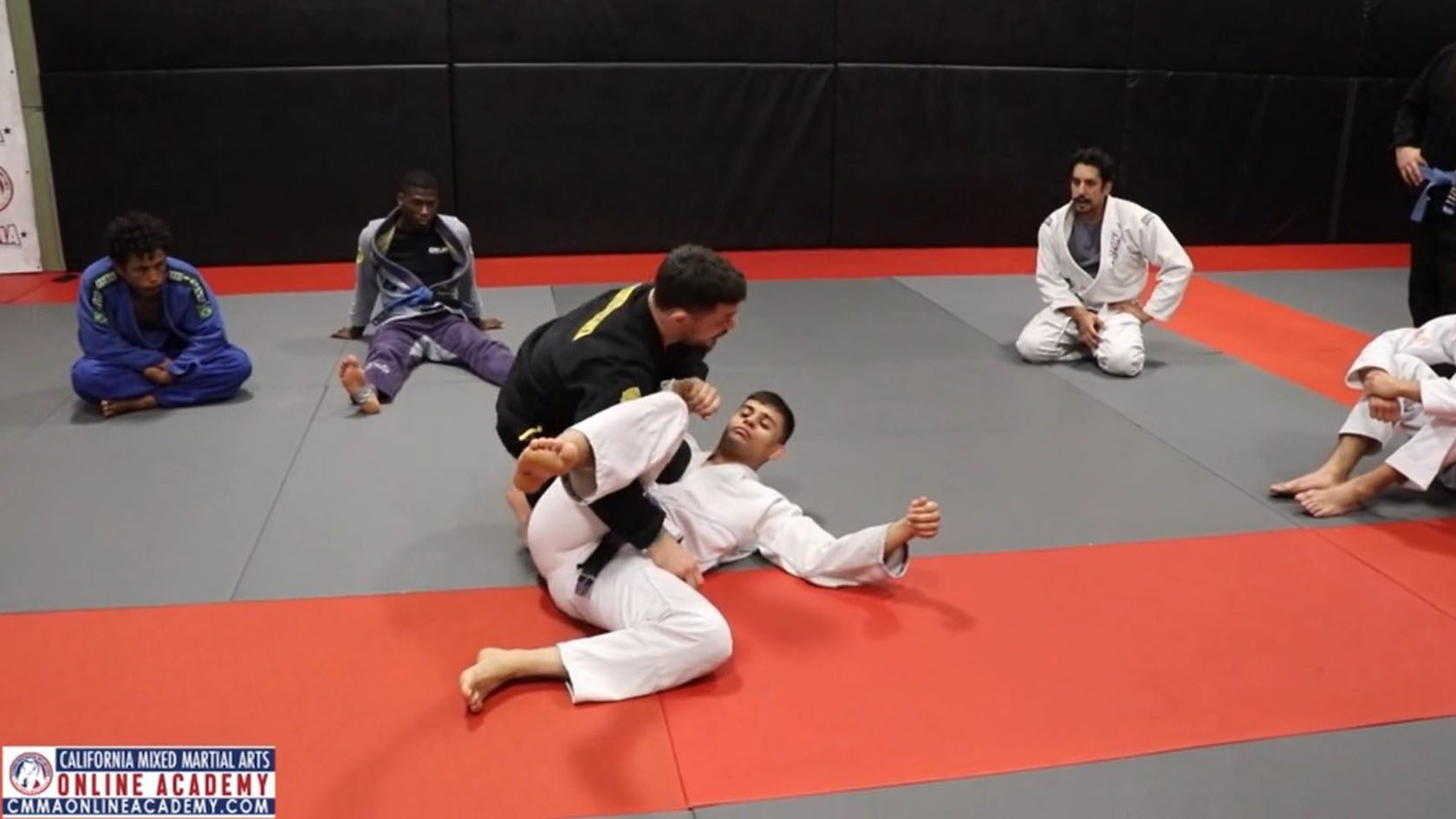 Standing X Guard Pull Into A Leg Underhook Sweep And Arm Lock Finish